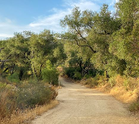 blue sky trail in the morning