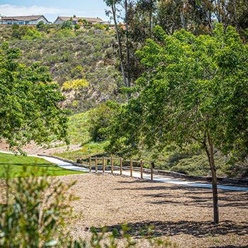 Starridge Park pathway