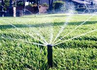 Rotor Sprinkler
