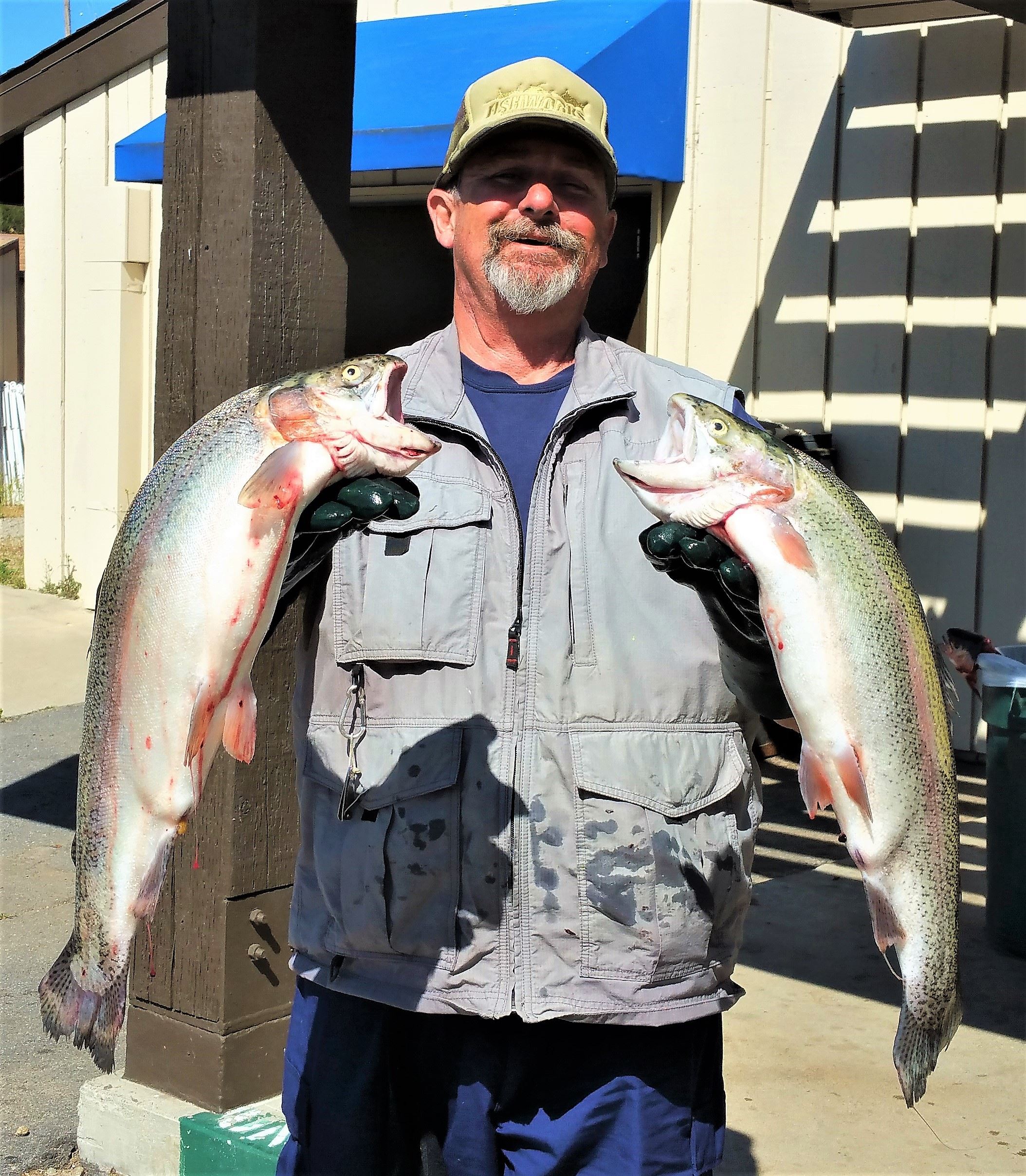 John Crine, Murrieta 7.5 and 7.25lb trout 24 Mar. Yellow power worms, Trolling deep all over the lak