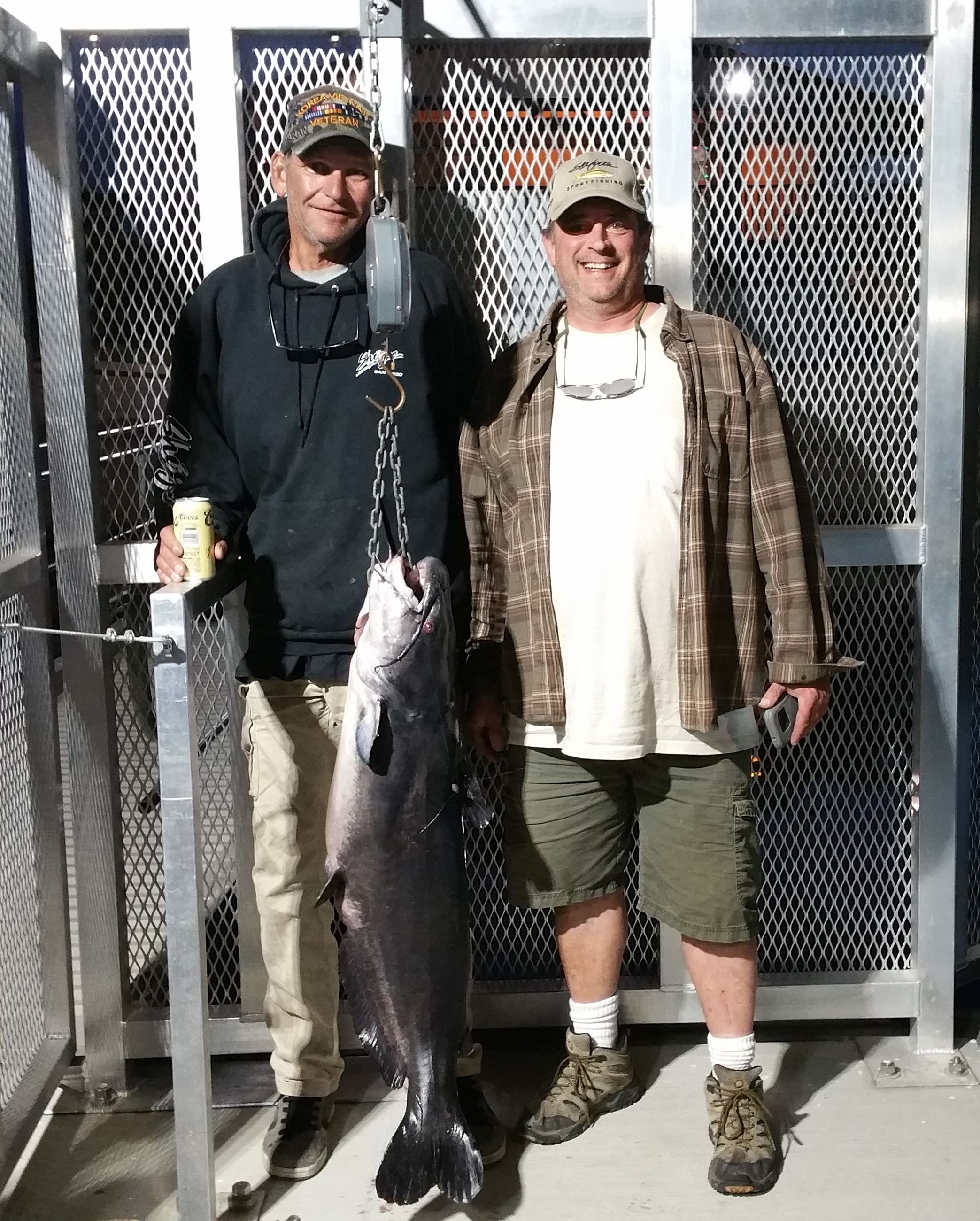 David Hlubik 40lb 8oz cat, log boom, 8 Dec 2017, mackerel and power bait