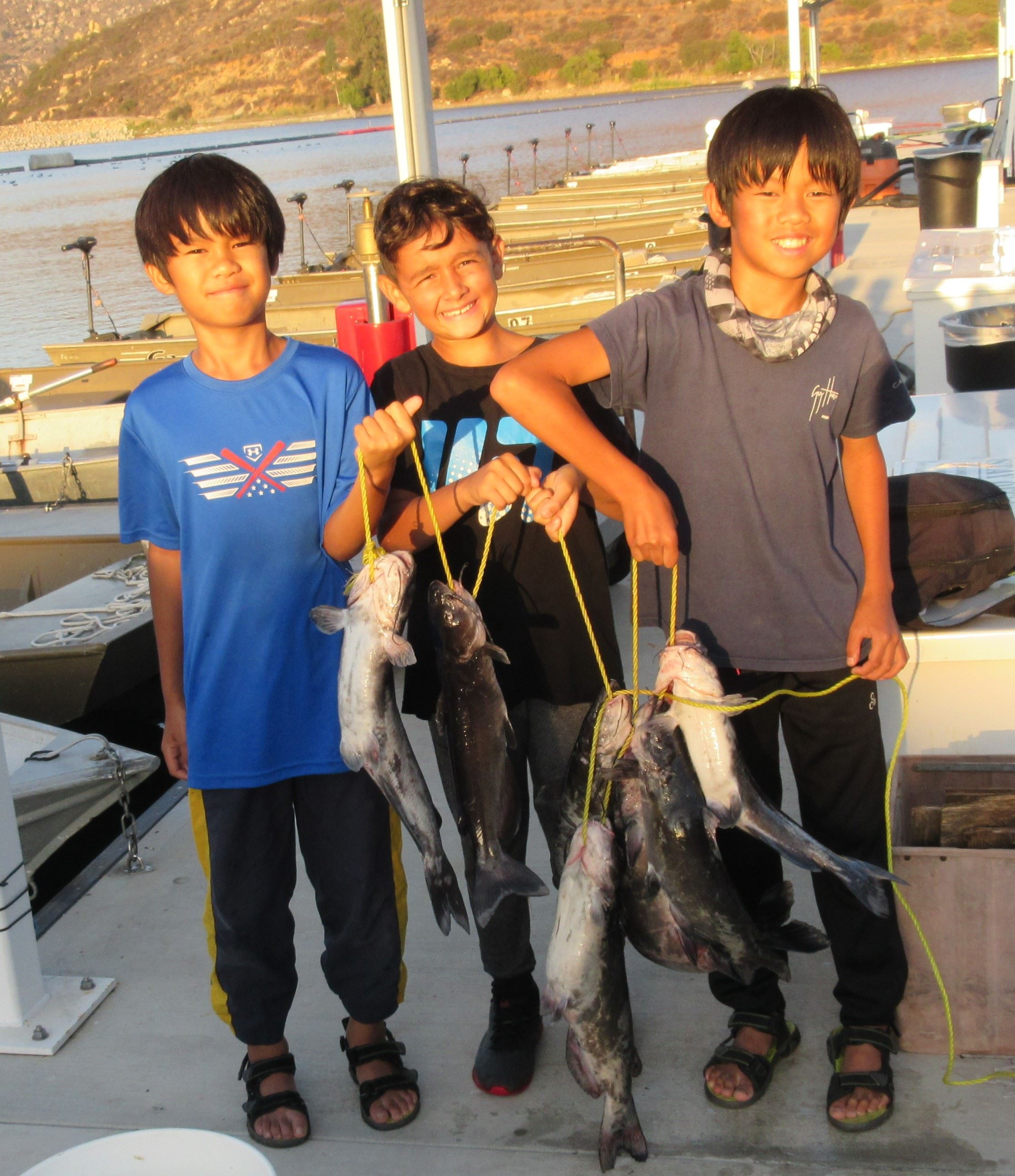 Matthew, Marcus, Aidan 7 cats, largest 6lbs. Mackerel, chicken Liver, log boom Mira Mesa