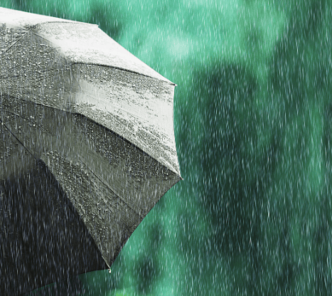 umbrella in the rain