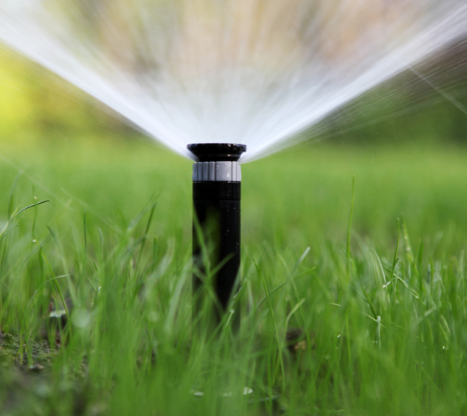 lawn sprinkler