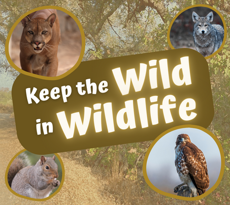 keep the wild in the wildlife graphic
