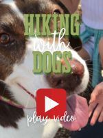 hiking with dogs video