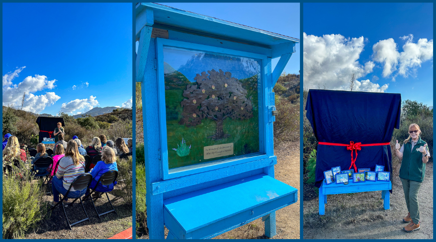 Blue sky docent memorial
