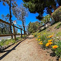 Espola Road Trail near Valle Verde