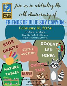 FOBS 30th anniversary flyer 300